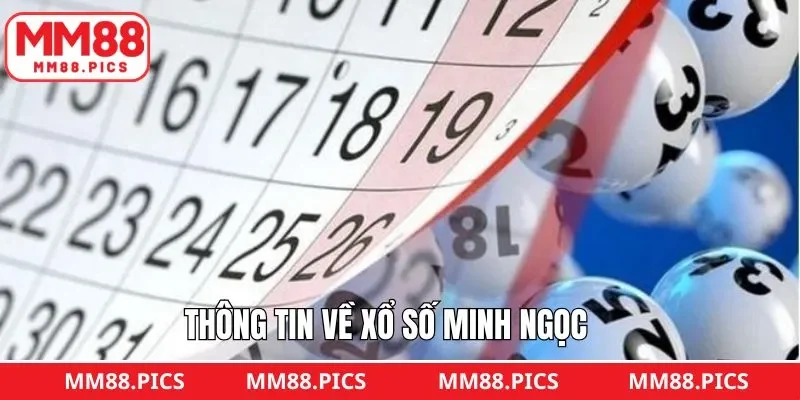 Nội dung sơ lược về hình thức cược số Minh Ngọc 